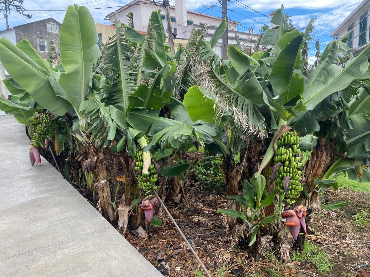 Retiro Das Bananeiras 奥尔塔 外观 照片